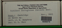 Image Associated With the Occurence